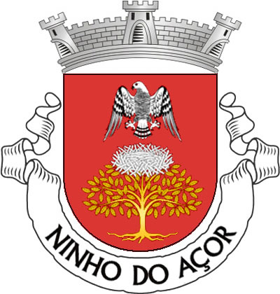 <p>Escudo de vemelho, árvore arrancada, de ouro, sustendo um ninho de prata; em chefe, açor de prata, realçado de negro. Coroa mural de prata de três torres. Listel branco, com a legenda a negro: «NINHO do AÇOR».</p>
<p>(D.R.III Série nº 61, de 12/03/04)</p>