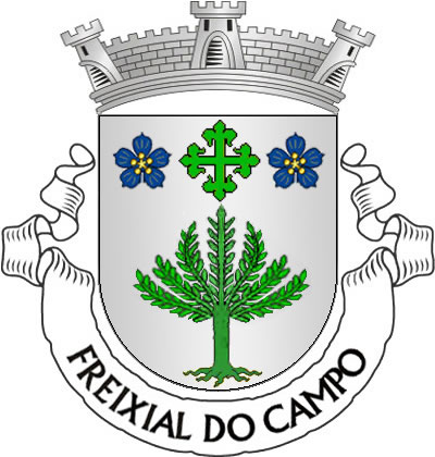 <p>Escudo de prata, freixo arrancado de verde; em chefe, cruz da Ordem de Avis entre duas flores de linho de azul, realçadas e botoadas de ouro. Coroa mural de prata de três torres. Listel branco, com a legenda a negro: "FREIXIAL DO CAMPO".</p>
<p>(D.R.II, Nº88 de 06/05/2010)</p>