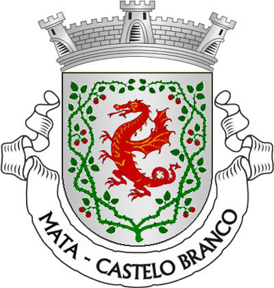<p>Escudo de prata, dragão alado de vermelho, realçado de ouro e, em orla, um ramo de silva, de verde, frutado de vermelho. Coroa mural de prata de três torres. Listel branco, com a legenda a negro: «MATA - CASTELO BRANCO».</p>
<p>(D.R.III Série nº 150, de 02/07/03)</p>