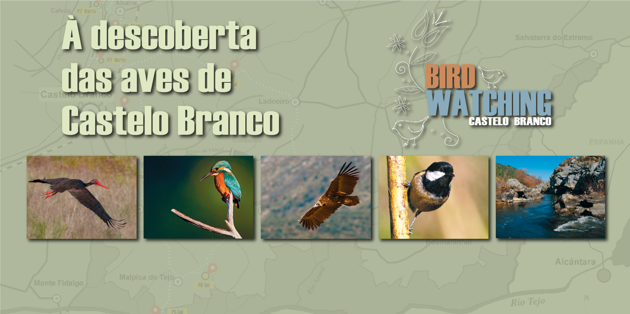 Destaque homepage - Birdwhatching CB - + de 160 espécies de aves