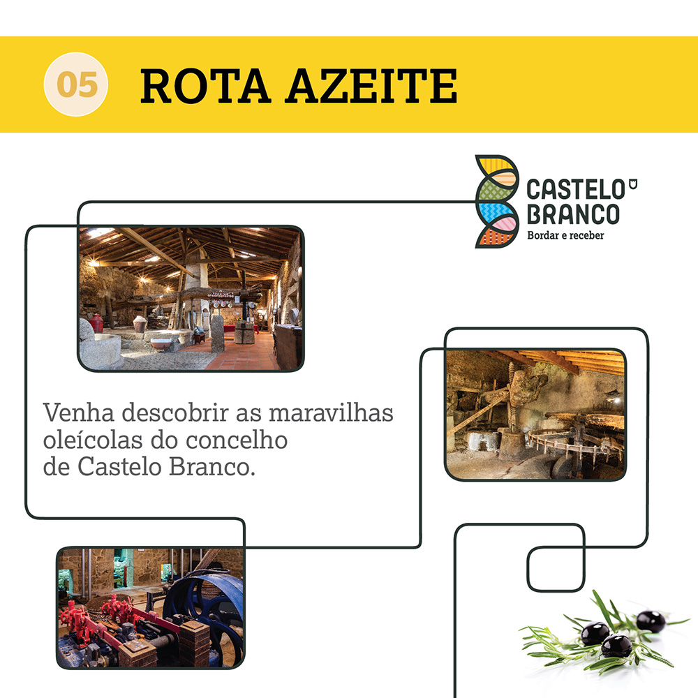 Destaque homepage - Rota 5 - Rota Azeite